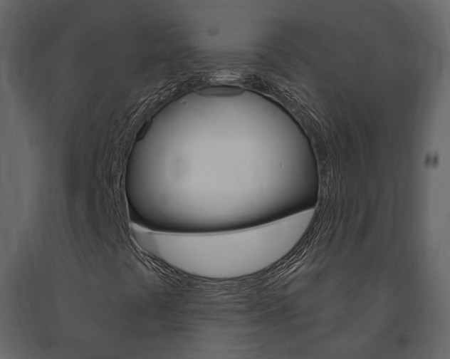 X0000091691441200708231120
