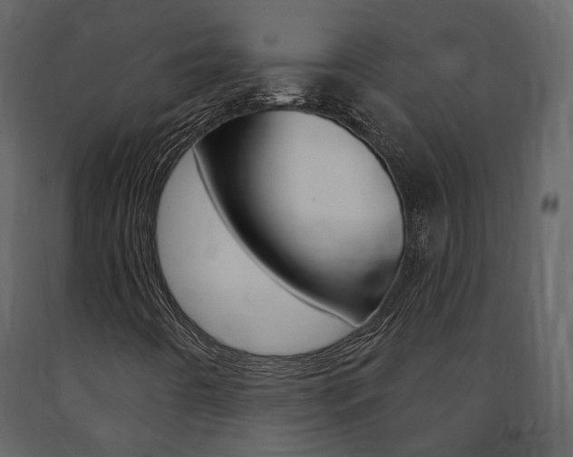 X0000091691442200708231120