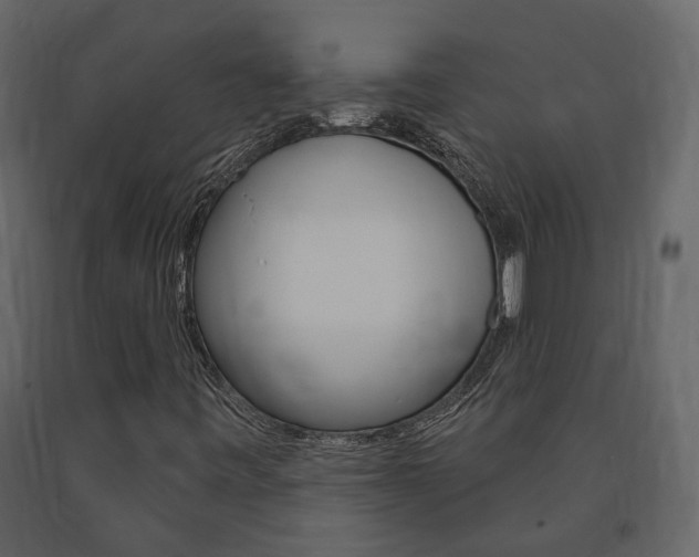X0000091691443200708231120