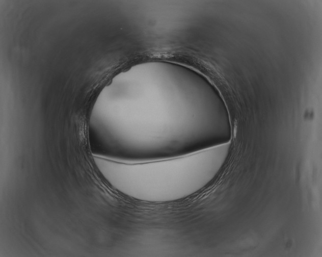 X0000091691444200708231120