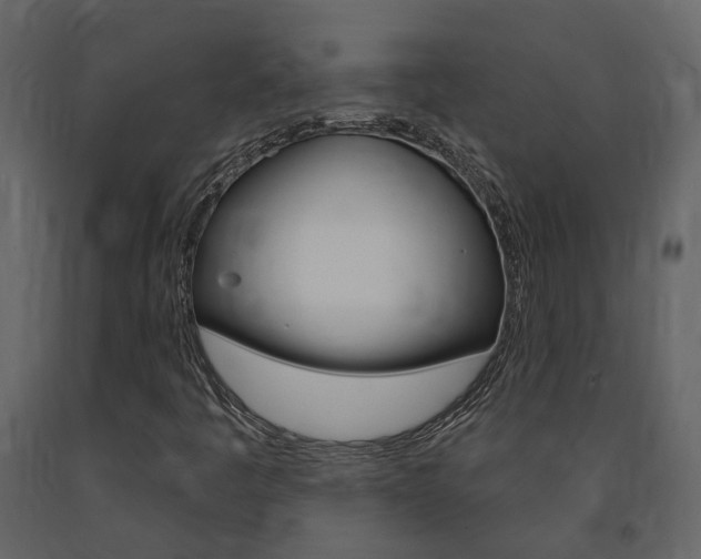 X0000091691445200708231120