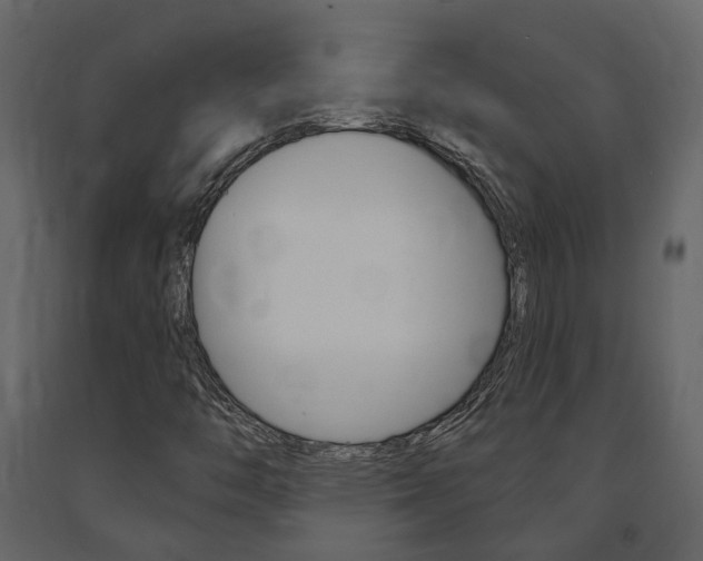 X0000091691446200708231120