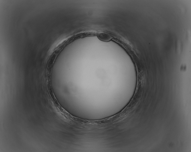X0000091691448200708231120