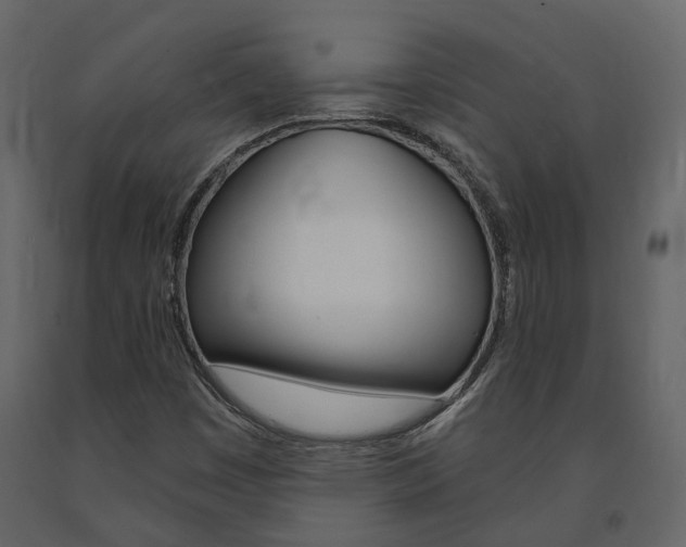 X0000091691449200708231120