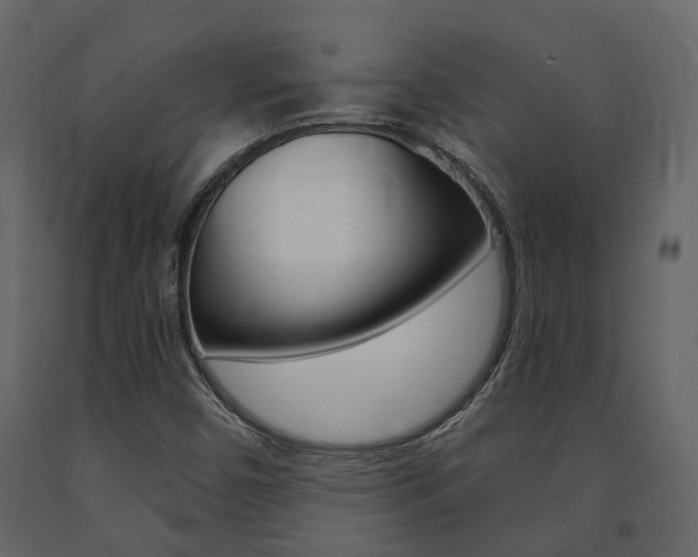 X0000091691450200708231120