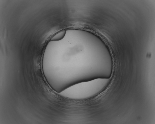 X0000091691451200708231120