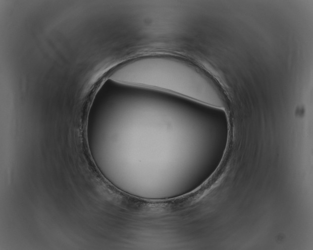 X0000091691453200708231120