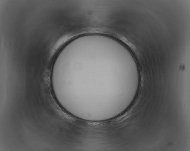 X0000091691454200708231120