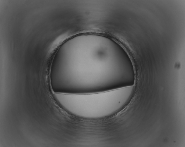 X0000091691455200708231120