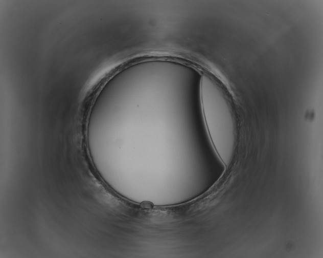 X0000091691456200708231120