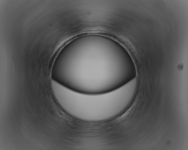 X0000091691457200708231120