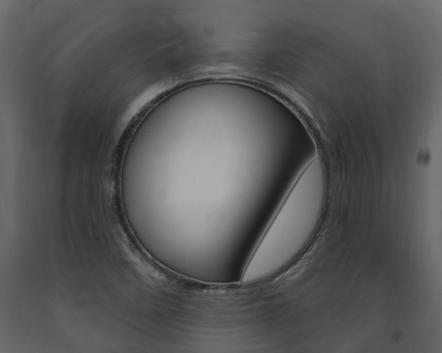 X0000091691458200708231120