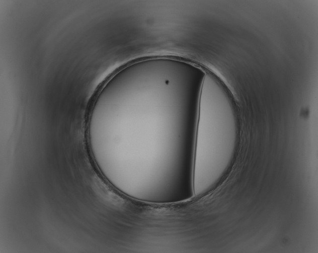 X0000091691460200708231120