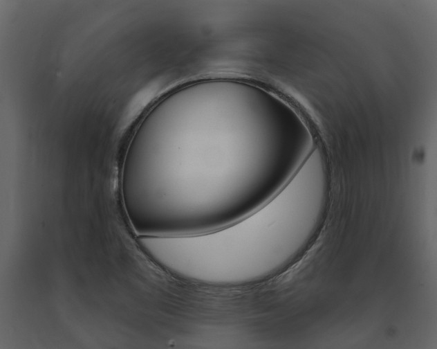 X0000091691461200708231120