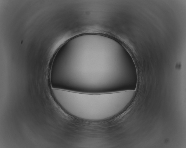 X0000091691463200708231119