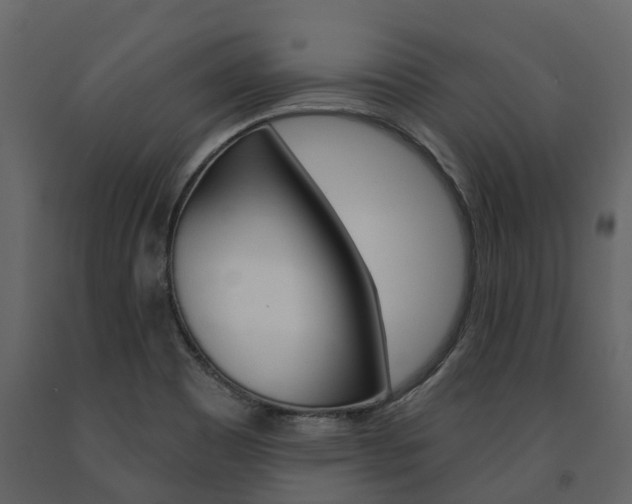 X0000091691465200708231119