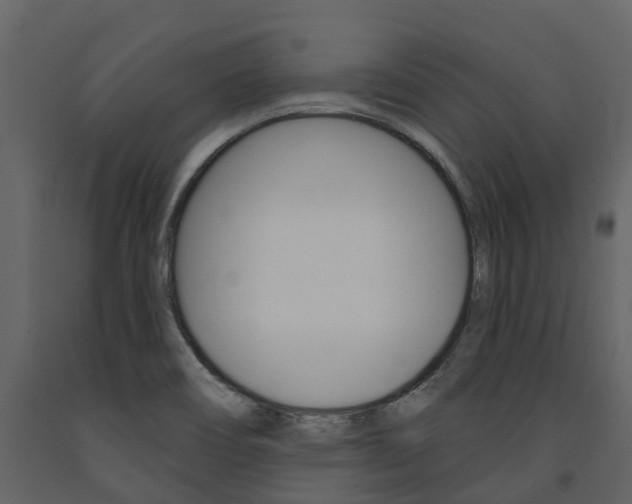 X0000091691466200708231119