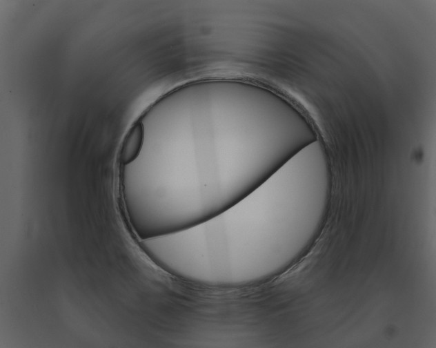 X0000091691467200708231119
