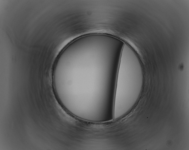X0000091691468200708231119