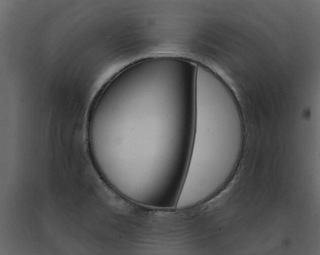 X0000091691469200708231119