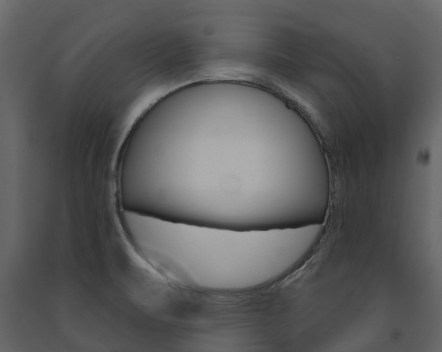 X0000091691471200708231119