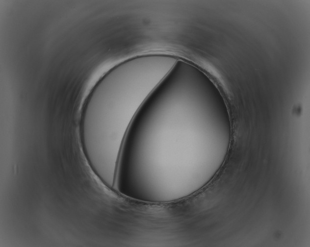 X0000091691472200708231119