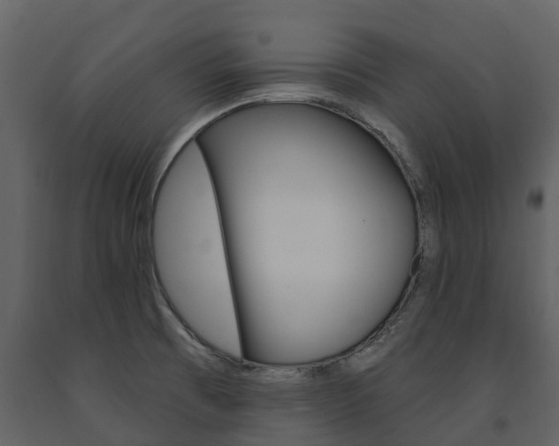 X0000091691473200708231119