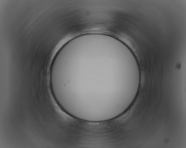 X0000091691474200708231119