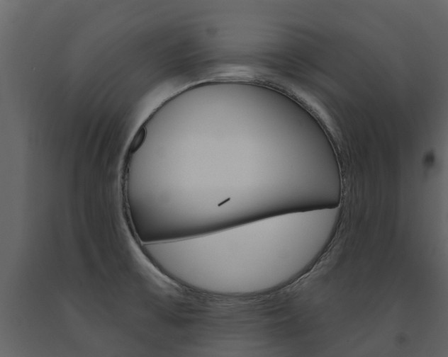 X0000091691475200708231119