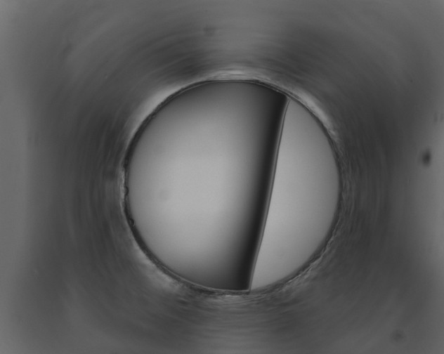 X0000091691476200708231119