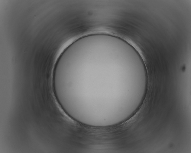 X0000091691477200708231119
