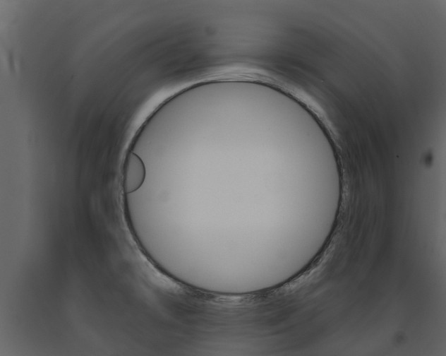 X0000091691478200708231119