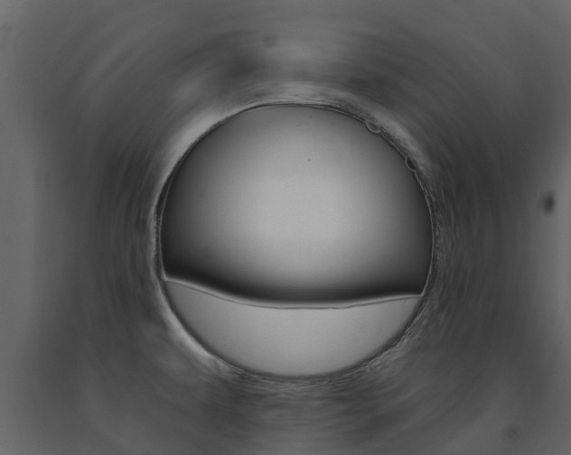 X0000091691479200708231119