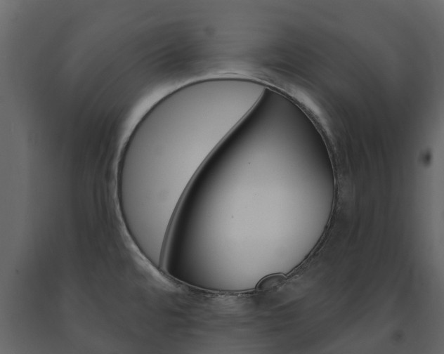 X0000091691480200708231119