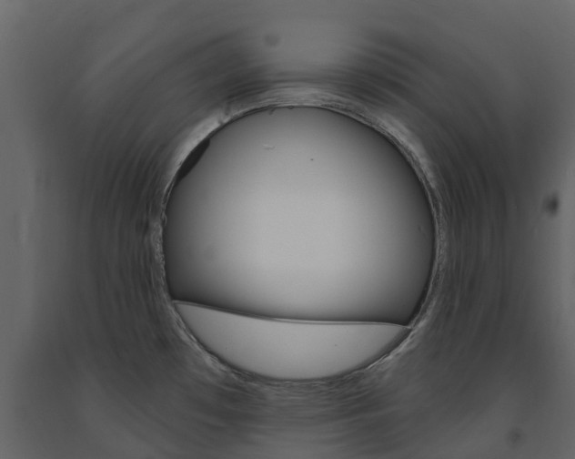 X0000091691481200708231119