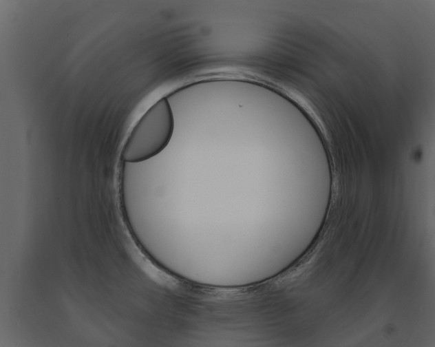 X0000091691482200708231119