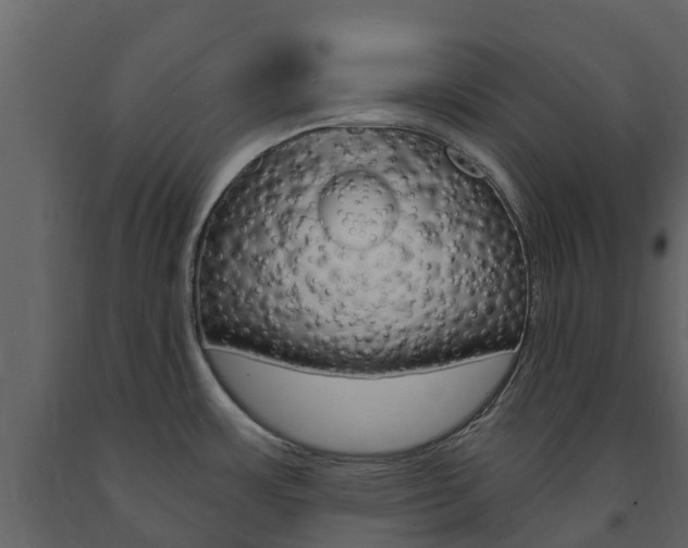 X0000091691483200708231119