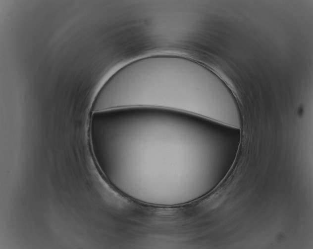 X0000091691484200708231119