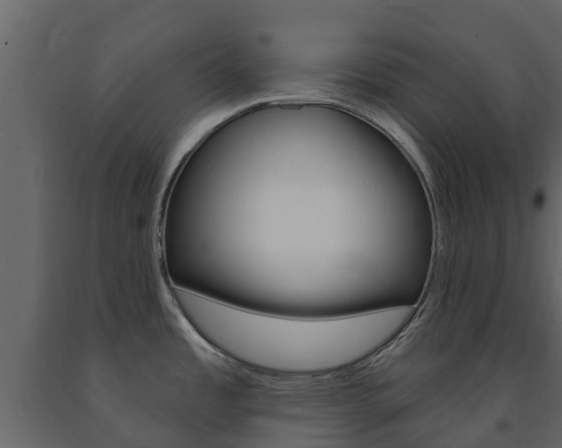 X0000091691485200708231119