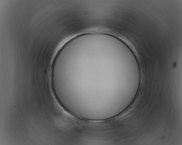 X0000091691486200708231119