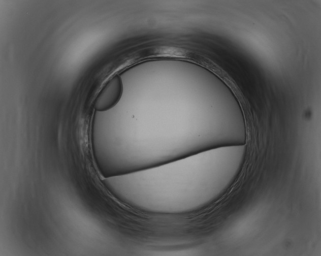 X0000091691487200708231119
