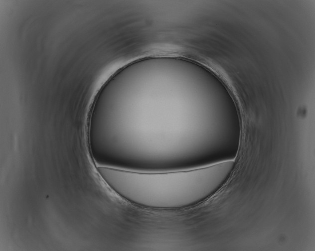 X0000091691488200708231119