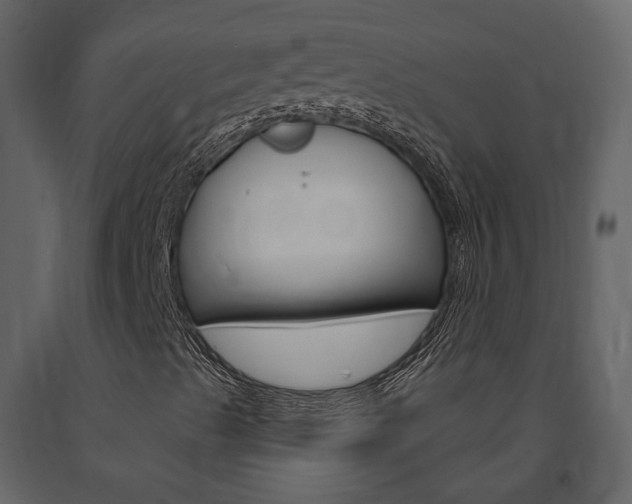 X0000091691489200708231118