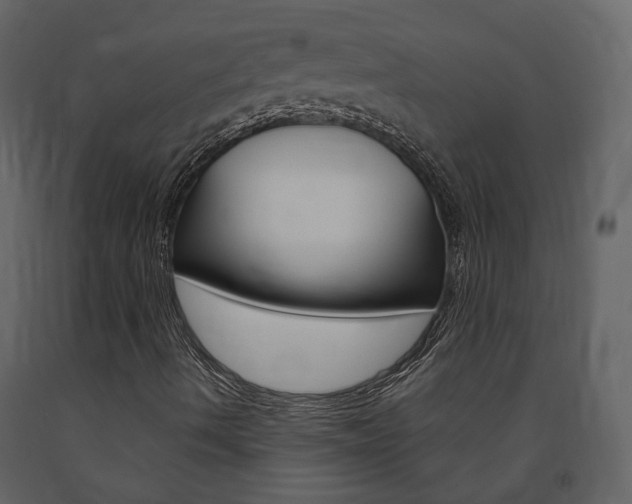 X0000091691490200708231118