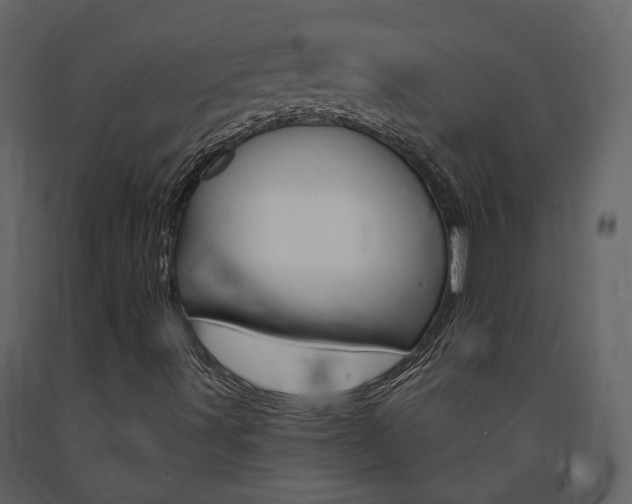 X0000091691491200708231118