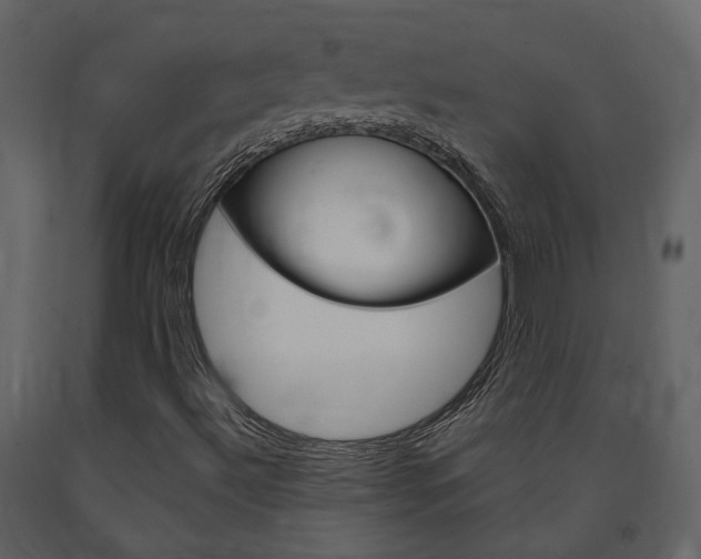 X0000091691492200708231119