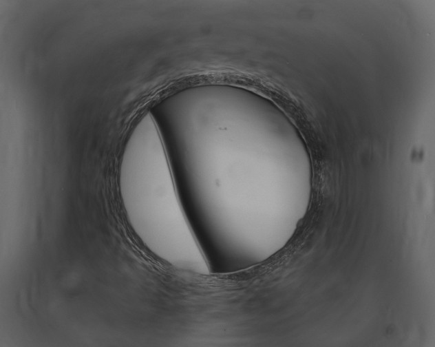 X0000091691493200708231119