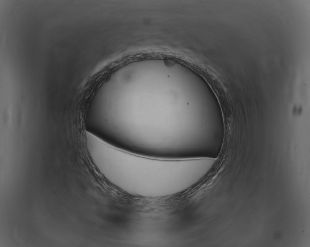 X0000091691494200708231119