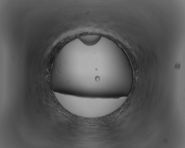 X0000091691495200708231119