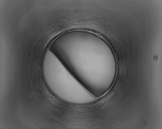 X0000091691497200708231119